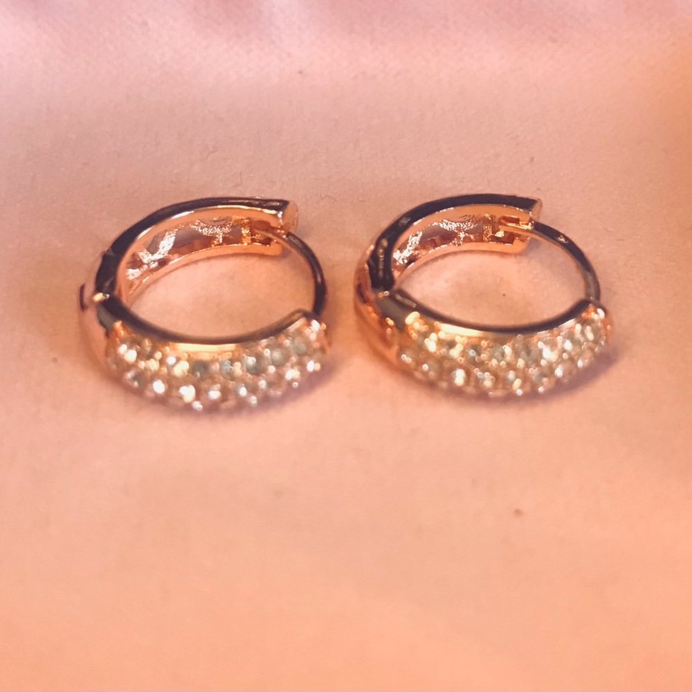 Hoop Earrings